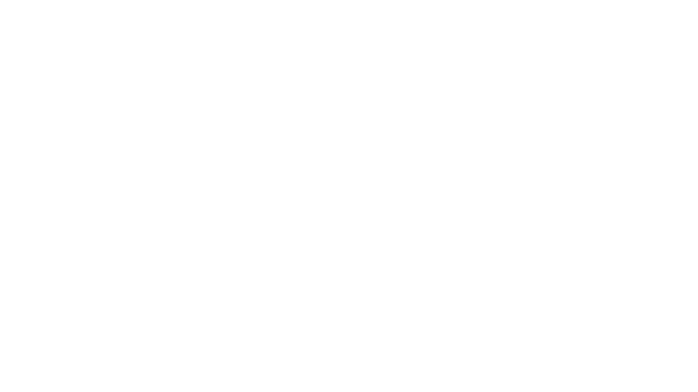 Metaoneer logo